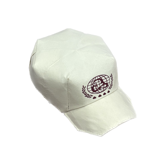 Origami Cap