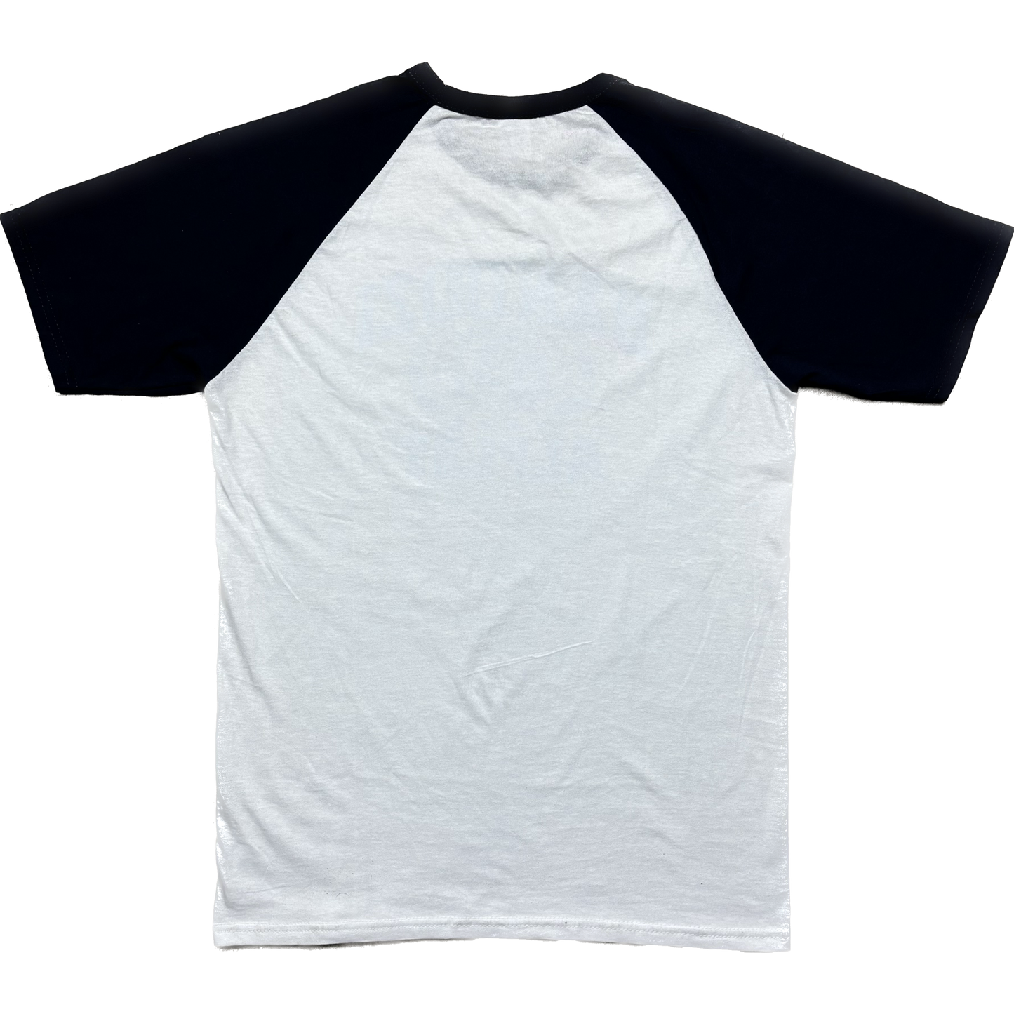 T-SHIRT ALPLBT